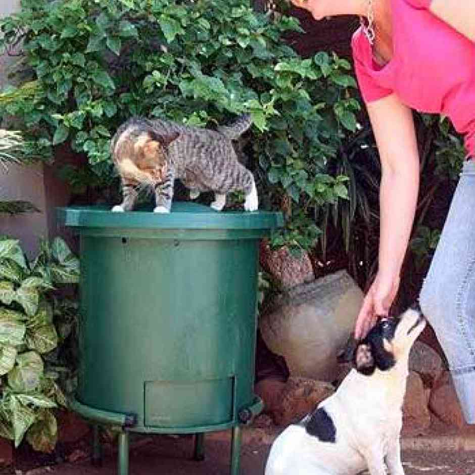 Doggy Pooh Worm Farm Wizzard Worms Domestic Wormeries