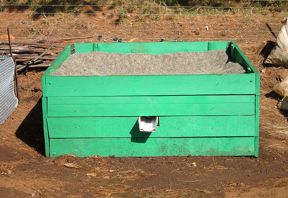 Worm Farm Wizzard Worms